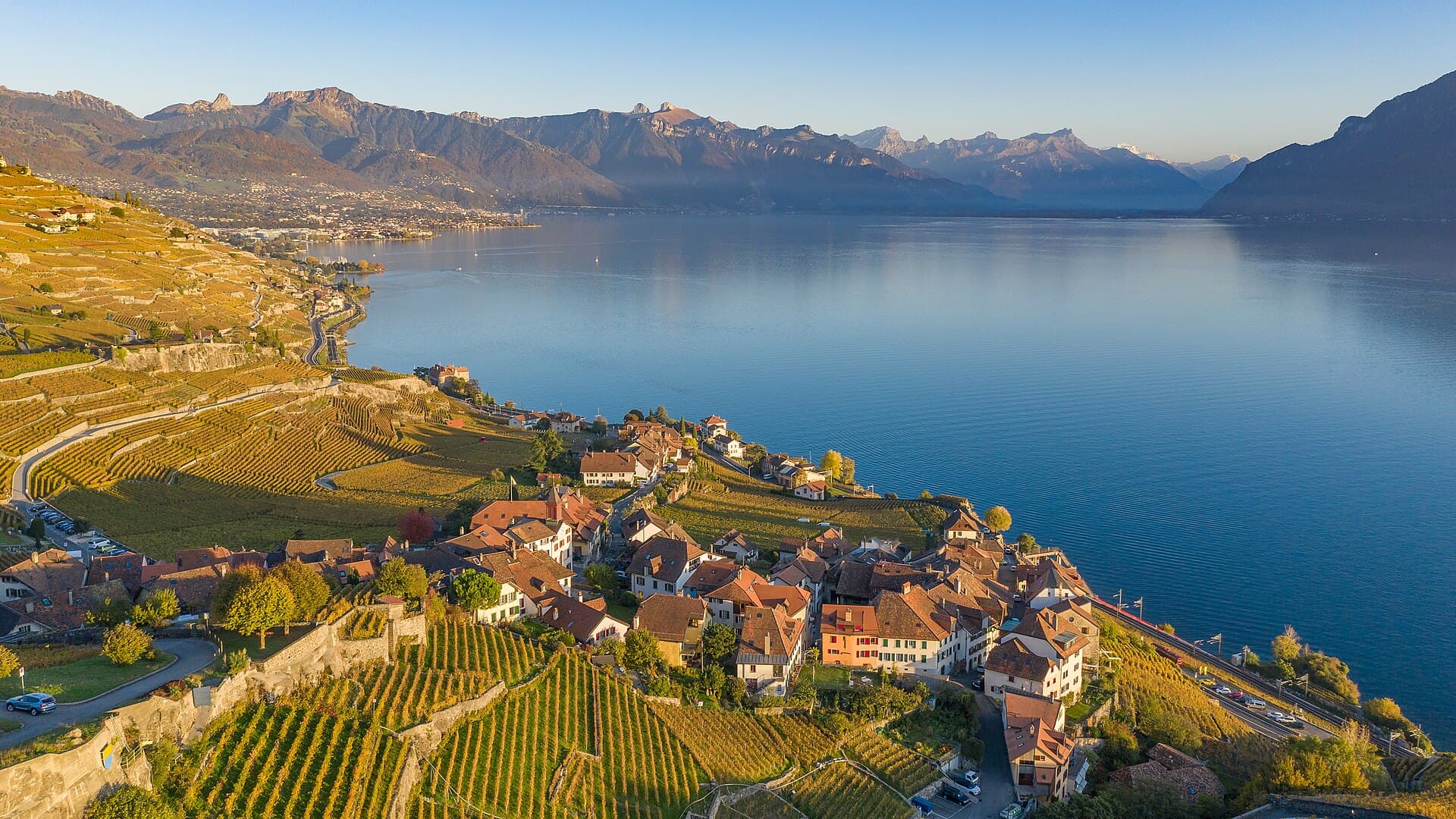Les terrasses viticoles de Lavaux au-dessus du lac Léman